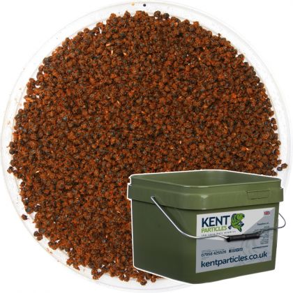 Kent Particles Prepared Spiced Chilli Hemp: click to enlarge