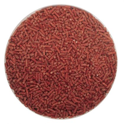 Kent Particles Bloodworm Pellet: click to enlarge