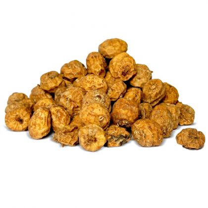 Kent Particles Dry Large Tiger Nuts: click to enlarge