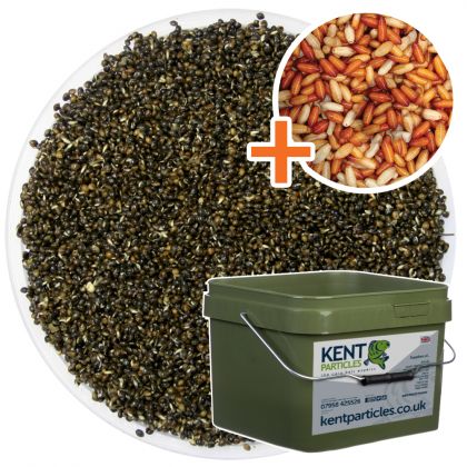 Kent Particles Prepared Hemp & Casters: click to enlarge