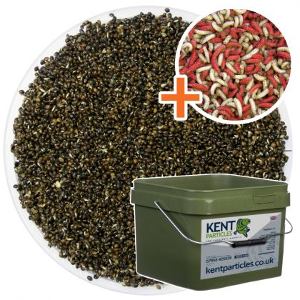 Kent Particles Prepared Hemp & Mixed Dead Maggots: click to enlarge