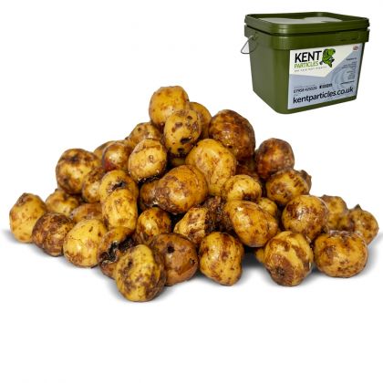 Kent Particles Prepared Sweet Tiger Nuts: click to enlarge